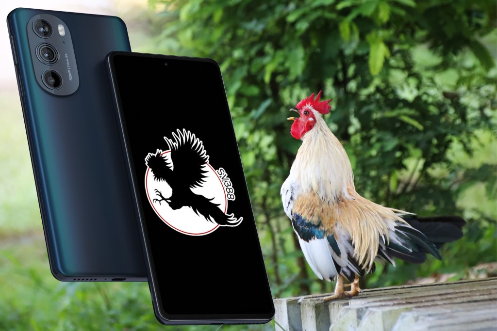 Logo TructiepSV388Org trên điện thoại thông minh với hình con gà trống ở nền